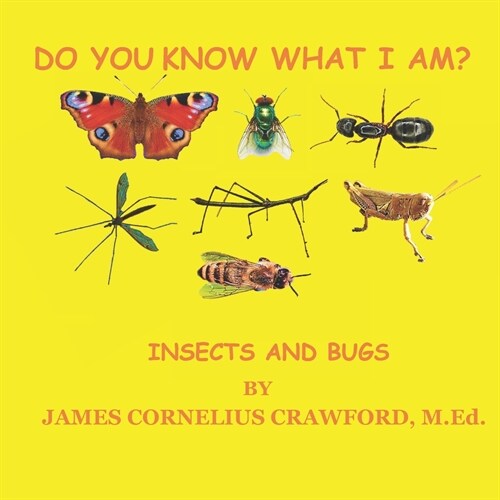 Do You Know What I Am?: Insects and Bugs (Paperback)