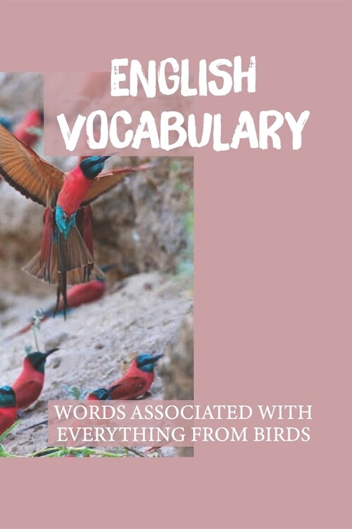 English Vocabulary: Words Associated With Everything From Birds: Basic English Words With Pictures (Paperback)