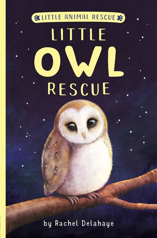 Little Owl Rescue (Paperback)