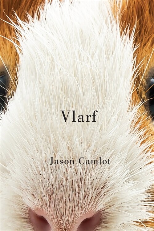 Vlarf: Volume 66 (Paperback)