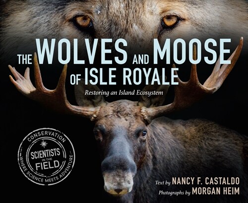 The Wolves and Moose of Isle Royale: Restoring an Island Ecosystem (Hardcover)