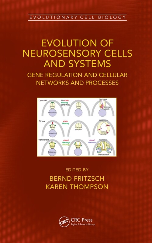 Evolution of Neurosensory Cells and Systems : Gene regulation and cellular networks and processes (Hardcover)