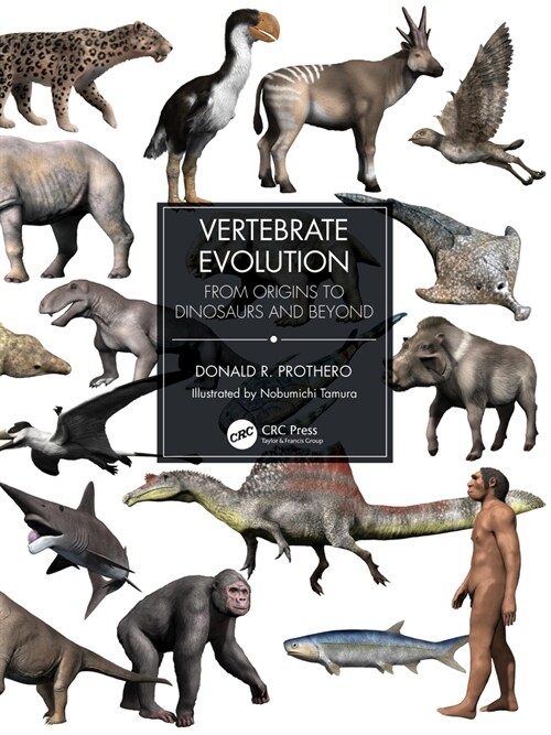Vertebrate Evolution : From Origins to Dinosaurs and Beyond (Hardcover)