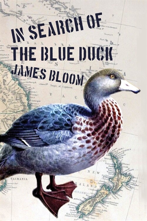 In Search of the Blue Duck (Paperback)