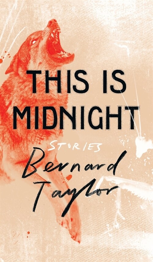 This Is Midnight: Stories (Hardcover)