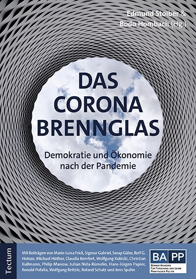 Das Corona-Brennglas: Demokratie Und Okonomie Nach Der Pandemie (Paperback)