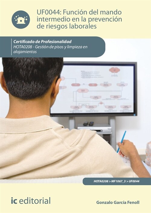 FUNCION DEL MANDO INTERMEDIO EN LA PREVENCION DE RIESGOS LAB (Paperback)