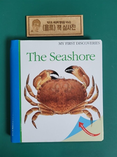 [중고] The Seashore (Spiral Bound)