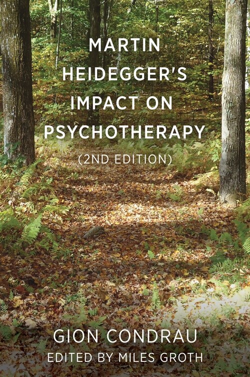 Martin Heideggers Impact on Psychotherapy (2nd ed.) (Paperback)