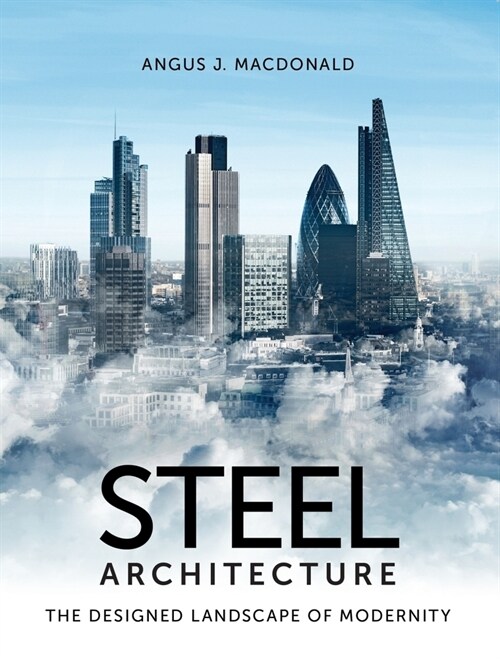 Steel Architecture : The Designed Landscape of Modernity (Paperback)