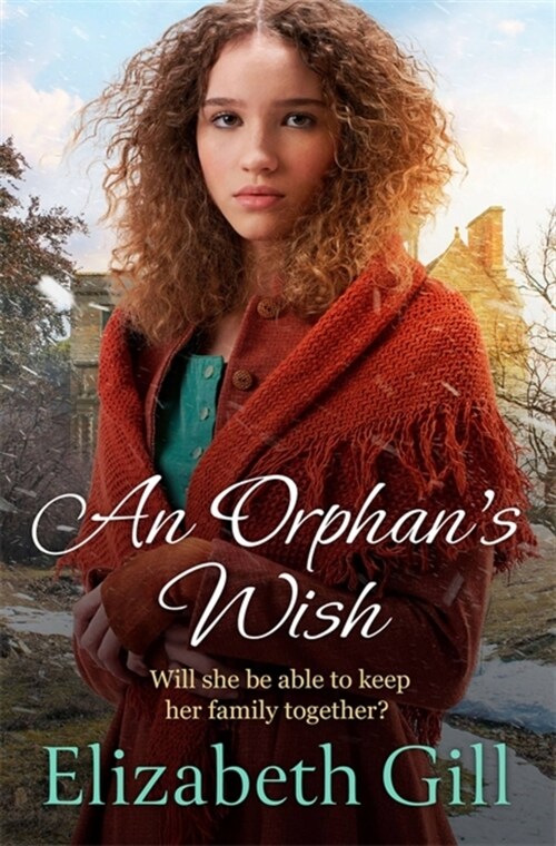 An Orphans Wish (Paperback)