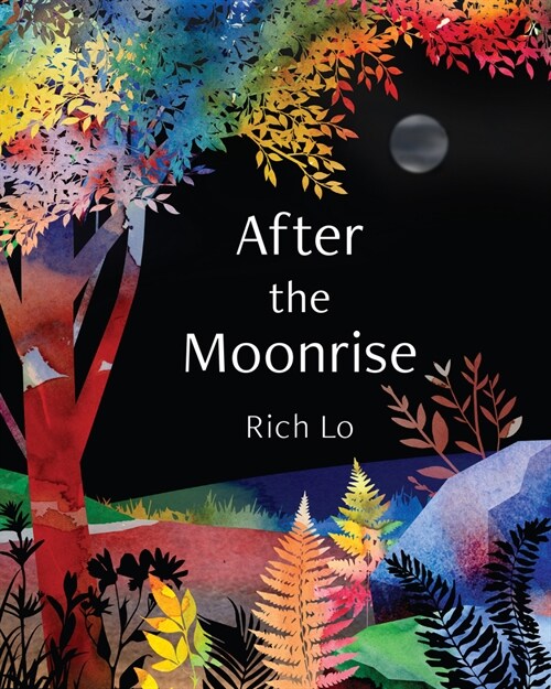 After the Moonrise (Hardcover)