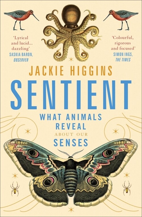 Sentient : What Animals Reveal About Human Senses (Paperback)