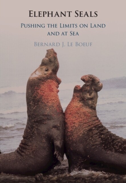 Elephant Seals : Pushing the Limits on Land and at Sea (Hardcover)