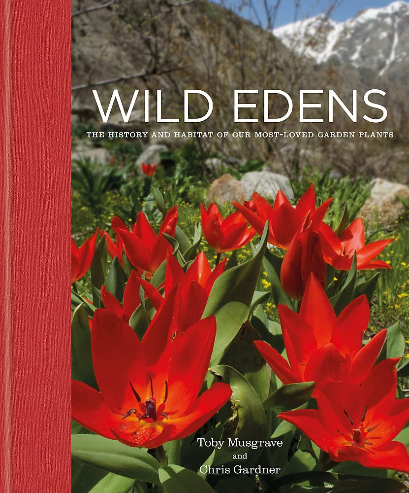 Wild Edens: The History and Habitat of Our Most-Loved Garden Plants (Hardcover)