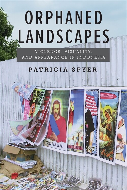 Orphaned Landscapes: Violence, Visuality, and Appearance in Indonesia (Hardcover)