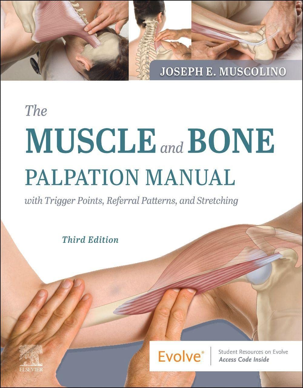 The Muscle and Bone Palpation Manual with Trigger Points, Referral Patterns and Stretching (Paperback, 3)