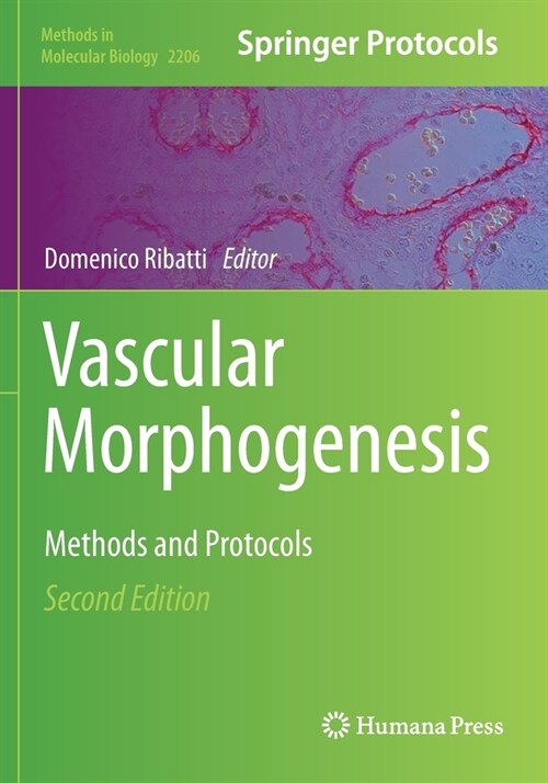 Vascular Morphogenesis: Methods and Protocols (Paperback, 2, 2021)