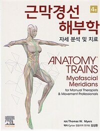 근막경선 해부학