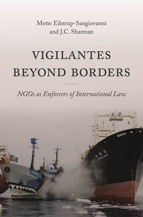 Vigilantes Beyond Borders: Ngos as Enforcers of International Law (Hardcover)