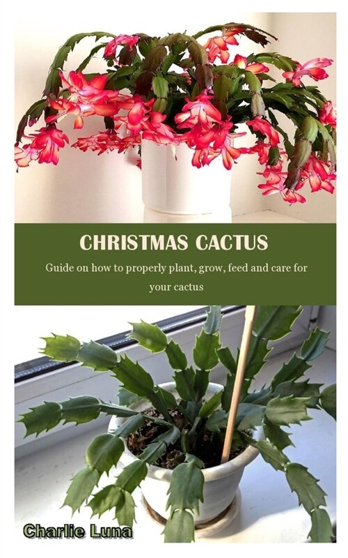 Christmas Cactus: Guide on how to properly plant, grow, feed and care for your cactus (Paperback)