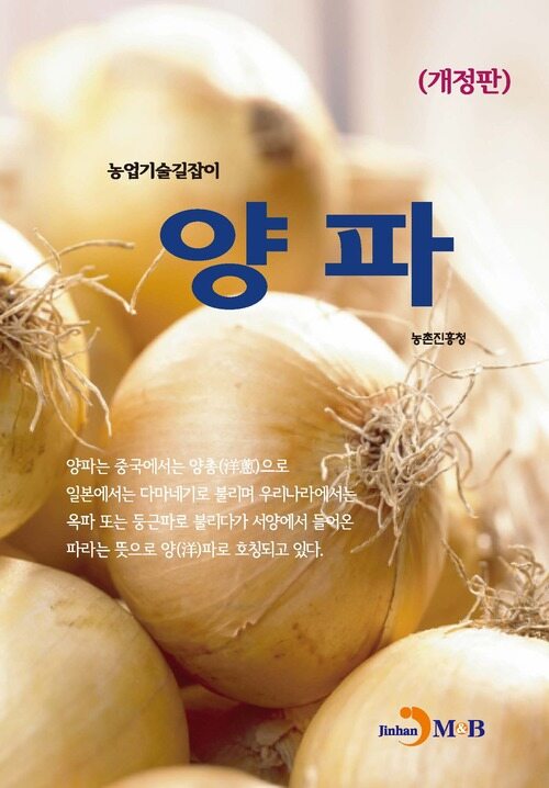 양파 커버