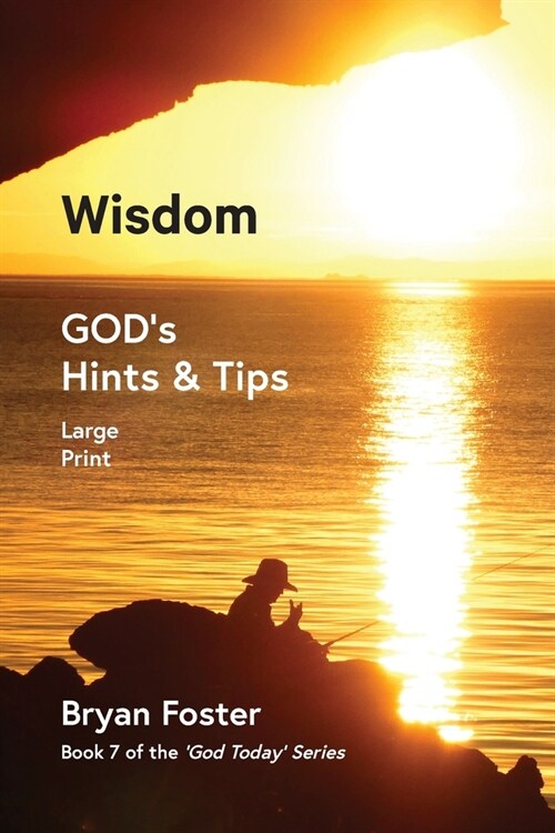 Wisdom: GODs Hints and Tips (Paperback)