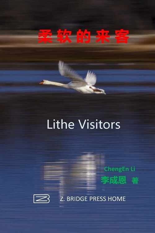 柔软的来客 (Paperback)