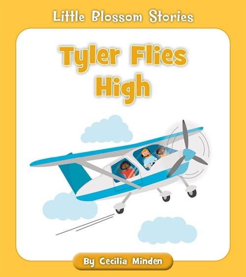 Tyler Flies High (Paperback)