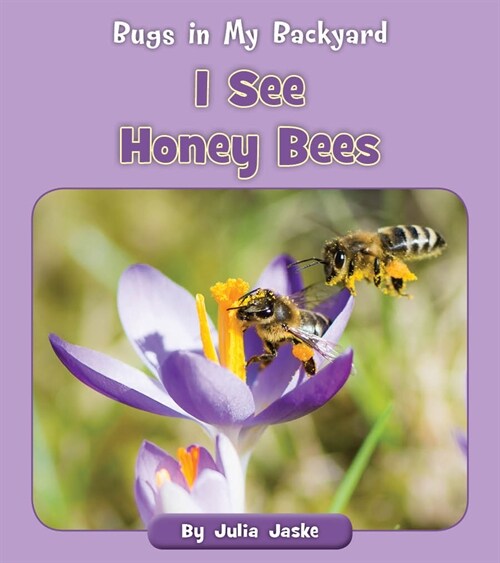 I See Honey Bees (Paperback)