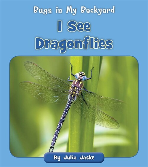 I See Dragonflies (Paperback)