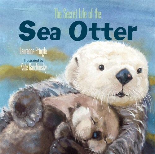 The Secret Life of the Sea Otter (Hardcover)