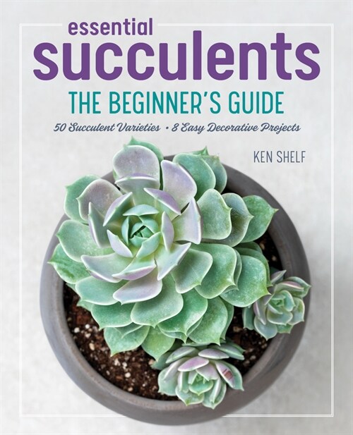 Essential Succulents: The Beginners Guide (Hardcover)
