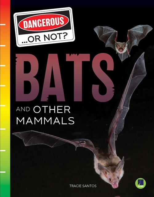 Bats and Other Mammals (Paperback)