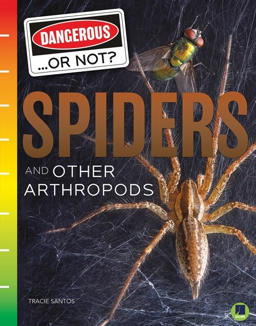 Spiders and Other Arthropods (Paperback)
