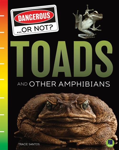 Toads and Other Amphibians (Paperback)