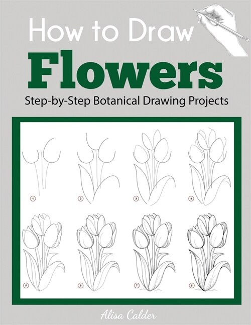 How to Draw Flowers: Step-by-Step Botanical Drawing Projects (Paperback)