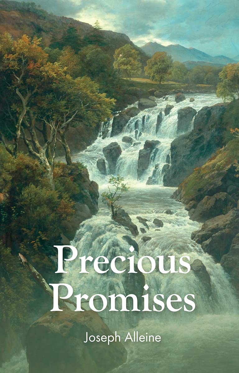 Precious Promises (Paperback)