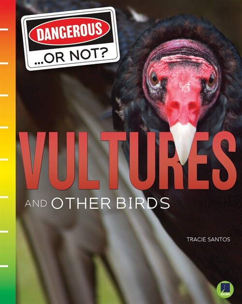 Vultures and Other Birds (Hardcover)