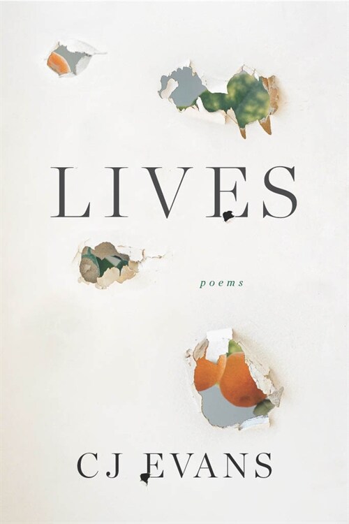 Lives (Paperback)