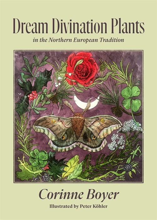 Dream Divination Plants: In Northwestern European Traditions (Paperback)
