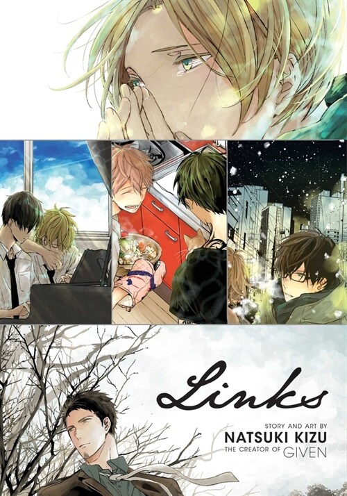 Links (Paperback)