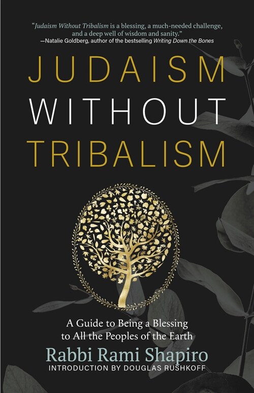 Judaism Without Tribalism: A Guide to Being a Blessing to All the Peoples of the Earth (Paperback)