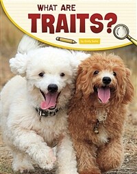 What Are Traits? (Hardcover)