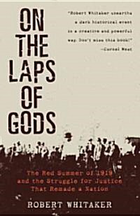On the Laps of Gods: The Red Summer of 1919 and the Struggle for Justice That Remade a Nation (Paperback)