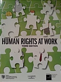 Human Rights at Work (Paperback, 3rd)
