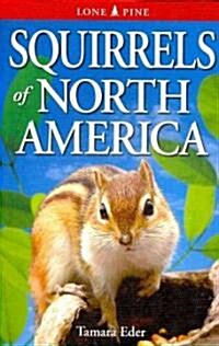 Squirrels of North America (Paperback)