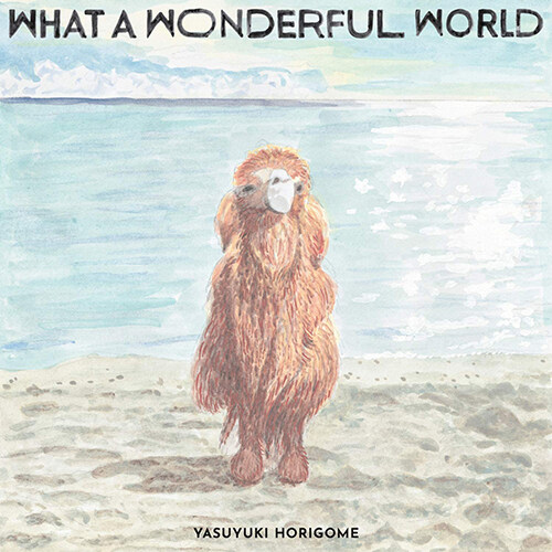 [수입] Horigome Yasuyuki - 2집 What A Wonderful World [LP][한정반]