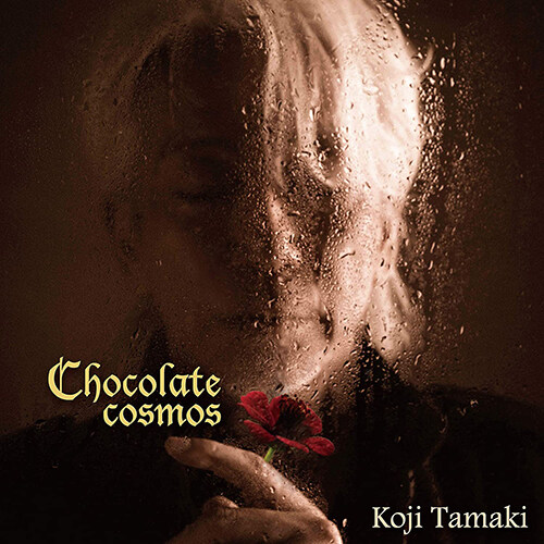 [수입] Tamaki Koji - Chocolate Cosmos [LP][한정반]