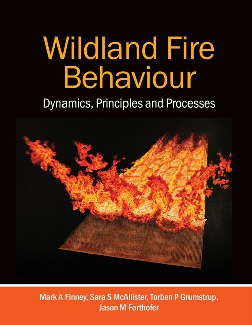Wildland Fire Behaviour: Dynamics, Principles and Processes (Paperback)